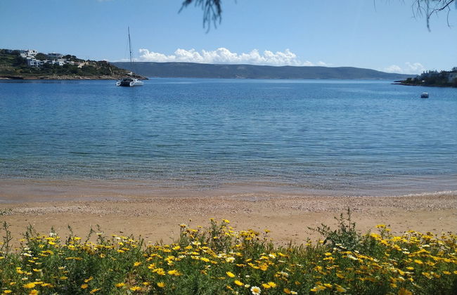 Beautiful Beach House At Sounio - Foto 20