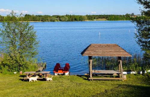 AgroGabi - Wypoczynek na Podlasiu - Foto 22