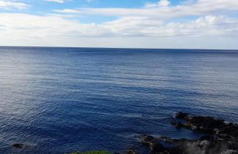 IL VIGNETO - Foto 28