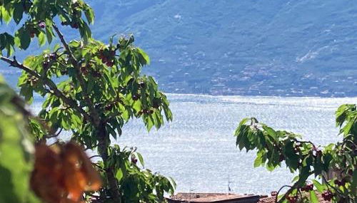 Villa Dora Gardasee - Foto 5