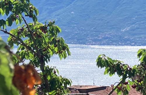 Villa Dora Gardasee - Foto 5