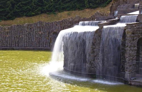 Froschkönig mit Teichblick - Photo 30