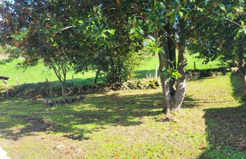 El Molino de Mateo - Foto 8