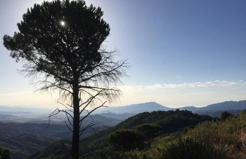 Cabaña La Pura Vida Yunquera - Foto 28