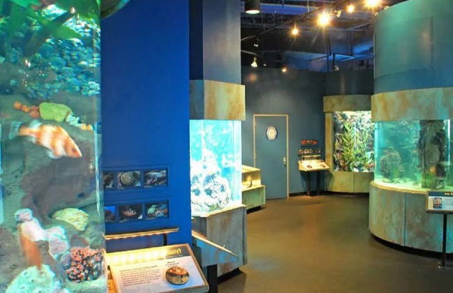 Entrada al Aquarium of the Bay - Foto 6