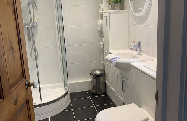 Come & Stay on a Real Norfolk Vineyard - Foto 12