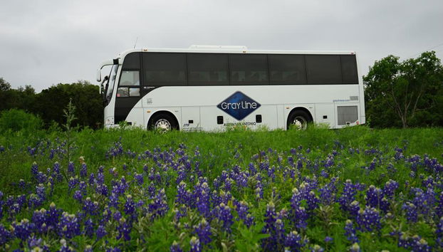 Texas Hill Country and LBJ Ranch Tour from San Antonio - Photo 4