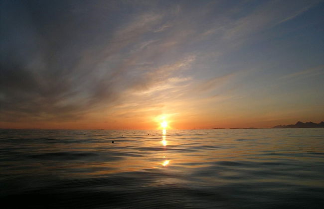 Holiday Home in DÃ¸nna - Photo 44