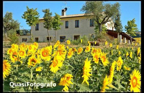 Agriturismo La Cicala - Foto 24