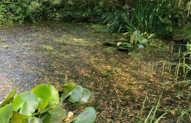 Large converted barn in peaceful, rural location - Foto 49