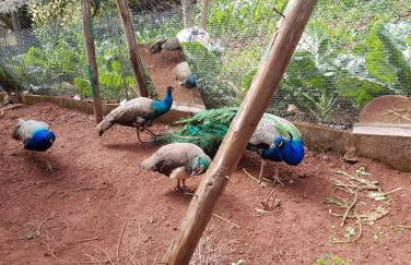 Cuevas De Barreto - Foto 60