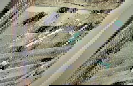 ControVento Rooms - Foto 30