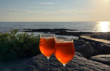 Lodge LE CABANON accès direct plage ! - Foto 20