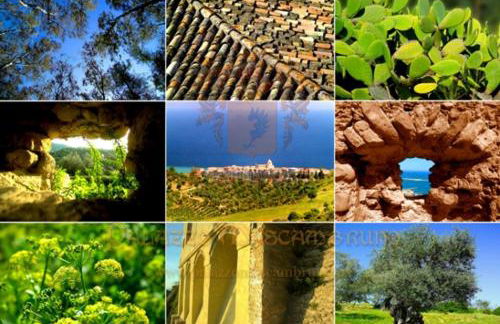 Palazzo Mascambruno - Foto 20