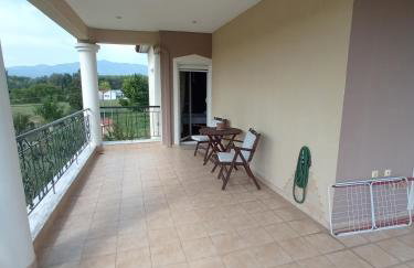 Η Αυλή - Photo 52