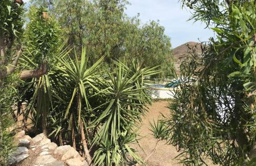 Bella Vista Rural Retreat - Foto 20