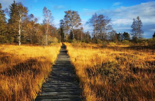 Schiller Ferienwohnung, Pool, Nideggen, Eifel - Foto 56