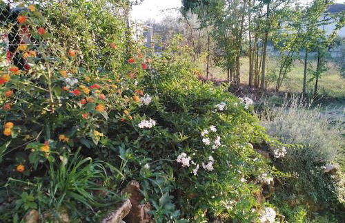 Casale dei 3 galli - Foto 10