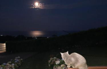 Quinta da Pavoa - Cottage House - Photo 61