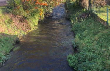 Ferienwohnung Burkhart - Foto 40