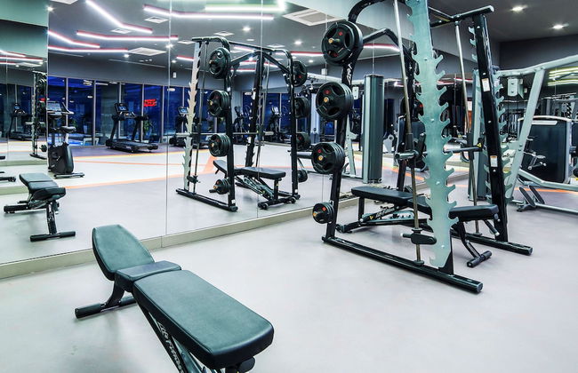 Radisson Residences Vadistanbul - Photo 79