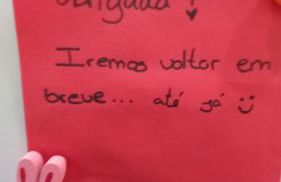 Salgueiral Guest House Douro - Foto 67