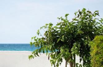 Villa Calarena - Foto 8