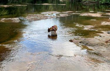 Oakbank - Comfort in the Glens! - Photo 21