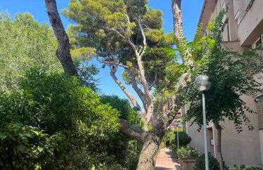 Apartment Coloma Piscina y Parking Hostem - Foto 25