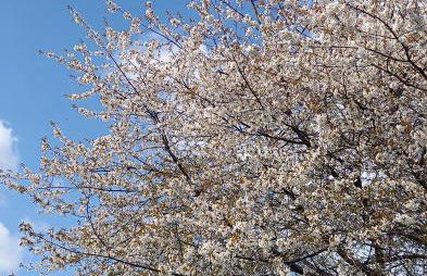 Einfach schöne Ferien im Westerwald - Foto 7