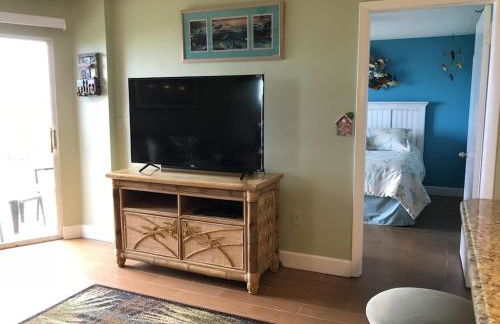 Tropical Daze Oceanfront Paradise - Foto 29