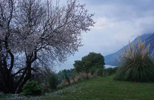 Pantheon Hotel & Suites - Foto 18