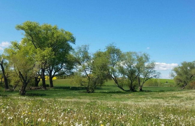 Zonnehof in het Geiseltal - Foto 16