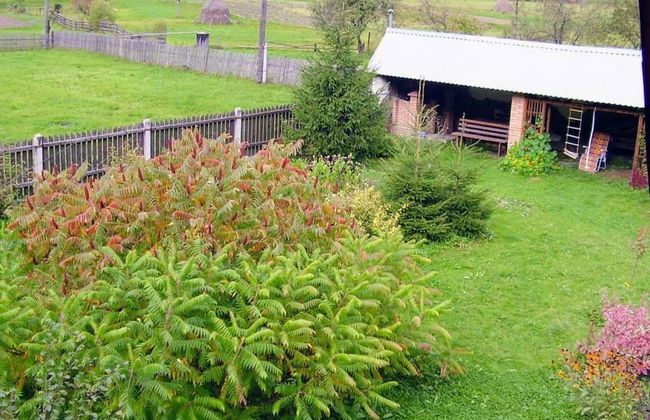 Green tourism - Foto 6