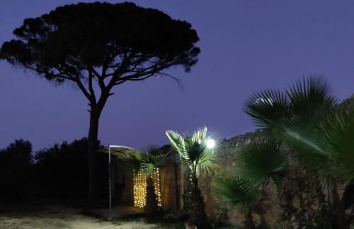 Masseria La Maestà - Ospitalità Rurale Famigliare - Foto 63