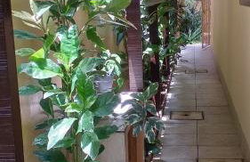 Paraíso de Itaipu - Foto 19