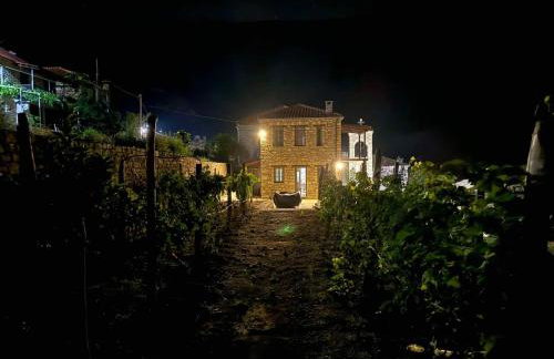 Χελιδόνα - Helidona - Foto 16