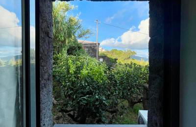 Casa do Grotão - Turismo no Espaço Rural - Alojamento Rural - Photo 24