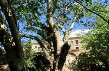 Suite Romantica en el campo, Cantallops, Girona - Foto 17