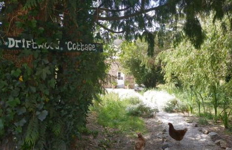 Driftwood Cottage - Foto 39