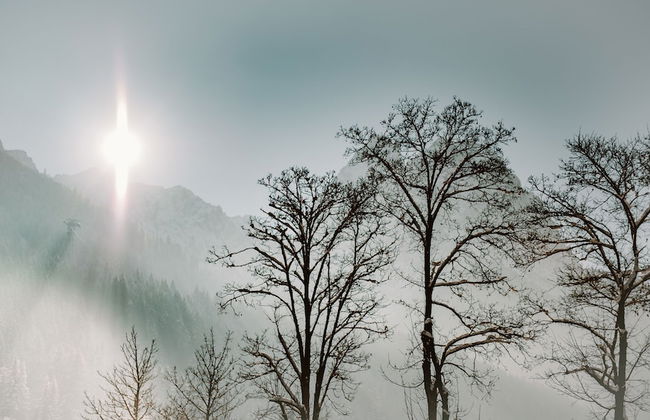 Ferienhaus Heimhof - Foto 47