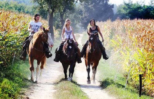Tamarynowa Osada - Kraina Udanego Wypoczynku - Foto 31