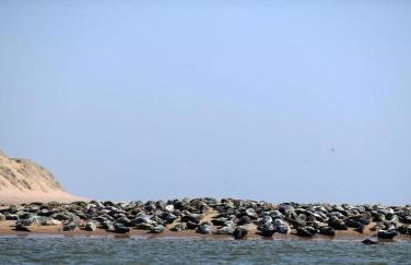 Beautiful House in Village, Newburgh, Ellon - Foto 24