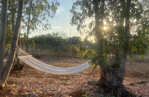 Abate Filippo apartment - Foto 45