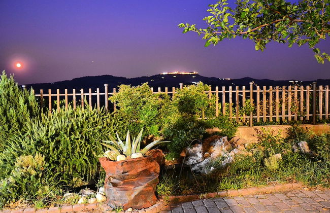 Agricola Lanciani - Foto 15