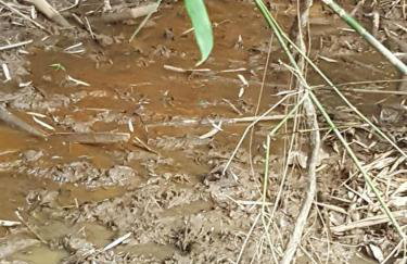 Chácara em Piracaia - Photo 19