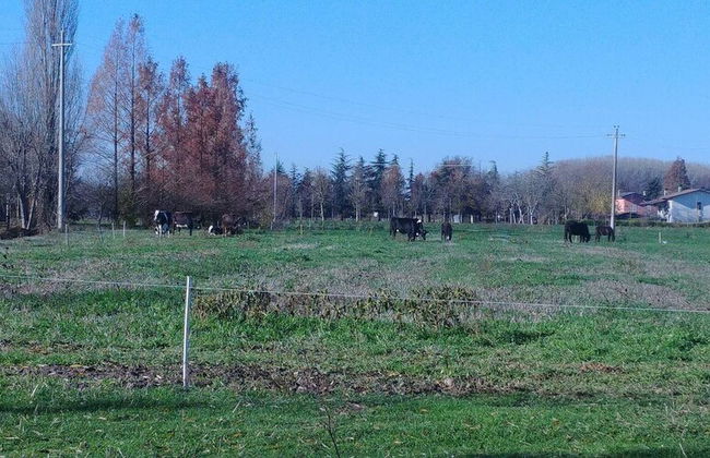 Loft Dell'artista Eclettico, Originale, Unico - Foto 45