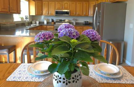 Summerside Cape on Crooked Lake ---Waterfront-Sunsets-Sleeps 12 - Foto 7