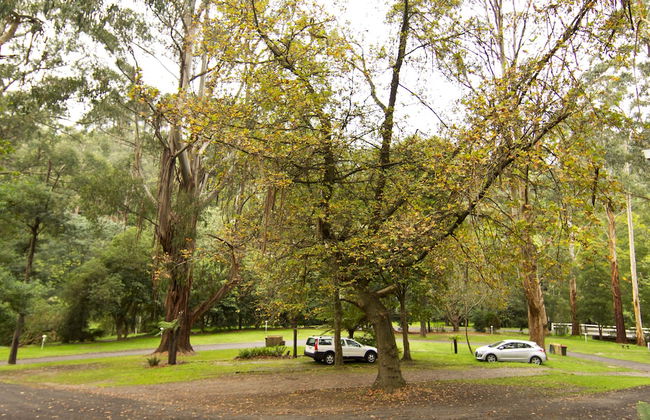 Tarra Valley Retreat - Foto 41