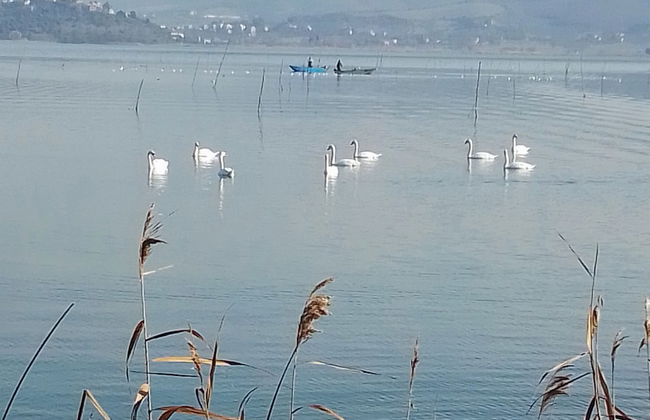 Borgo Cenaioli - Photo 43